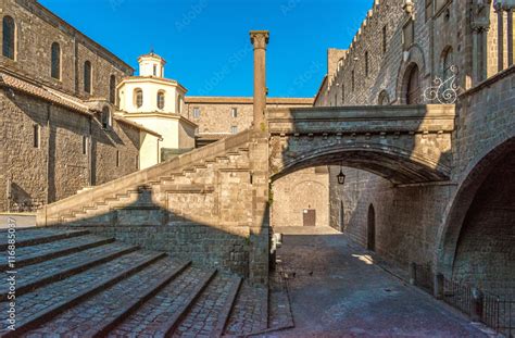 viterbo troie|VITERBO